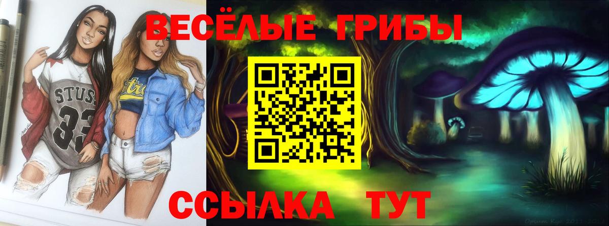 Псилоцибиновые грибы MAGIC MUSHROOMS Дедовск