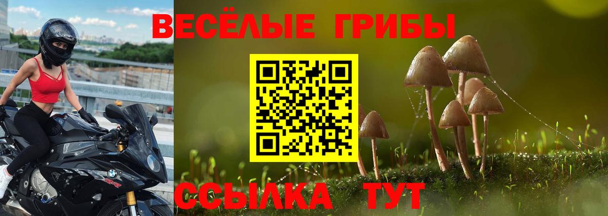 Дедовск  Галлюциногенные грибы GOLDEN TEACHER  Вход с VPN 